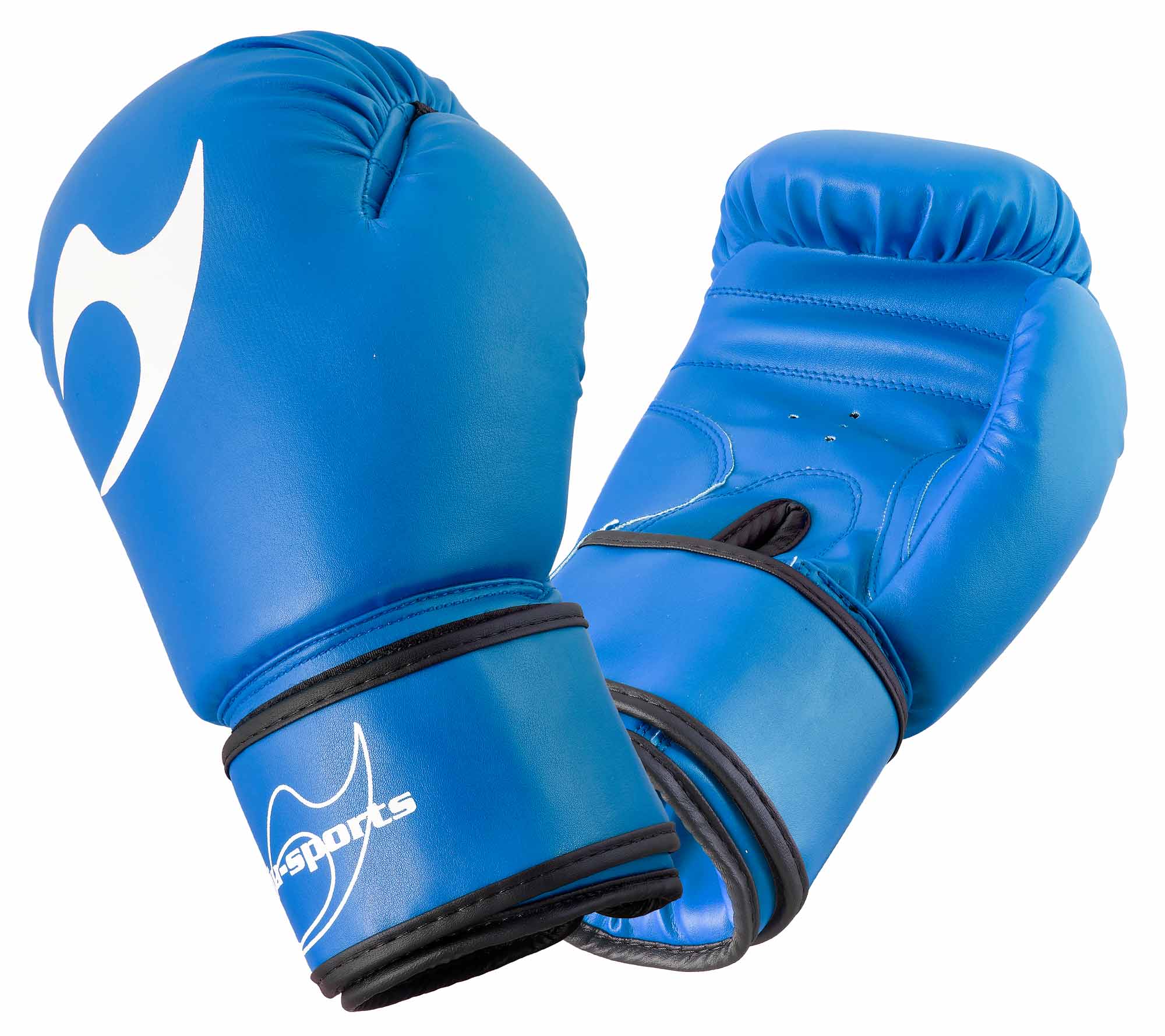 Boxhandschuhe Training blau