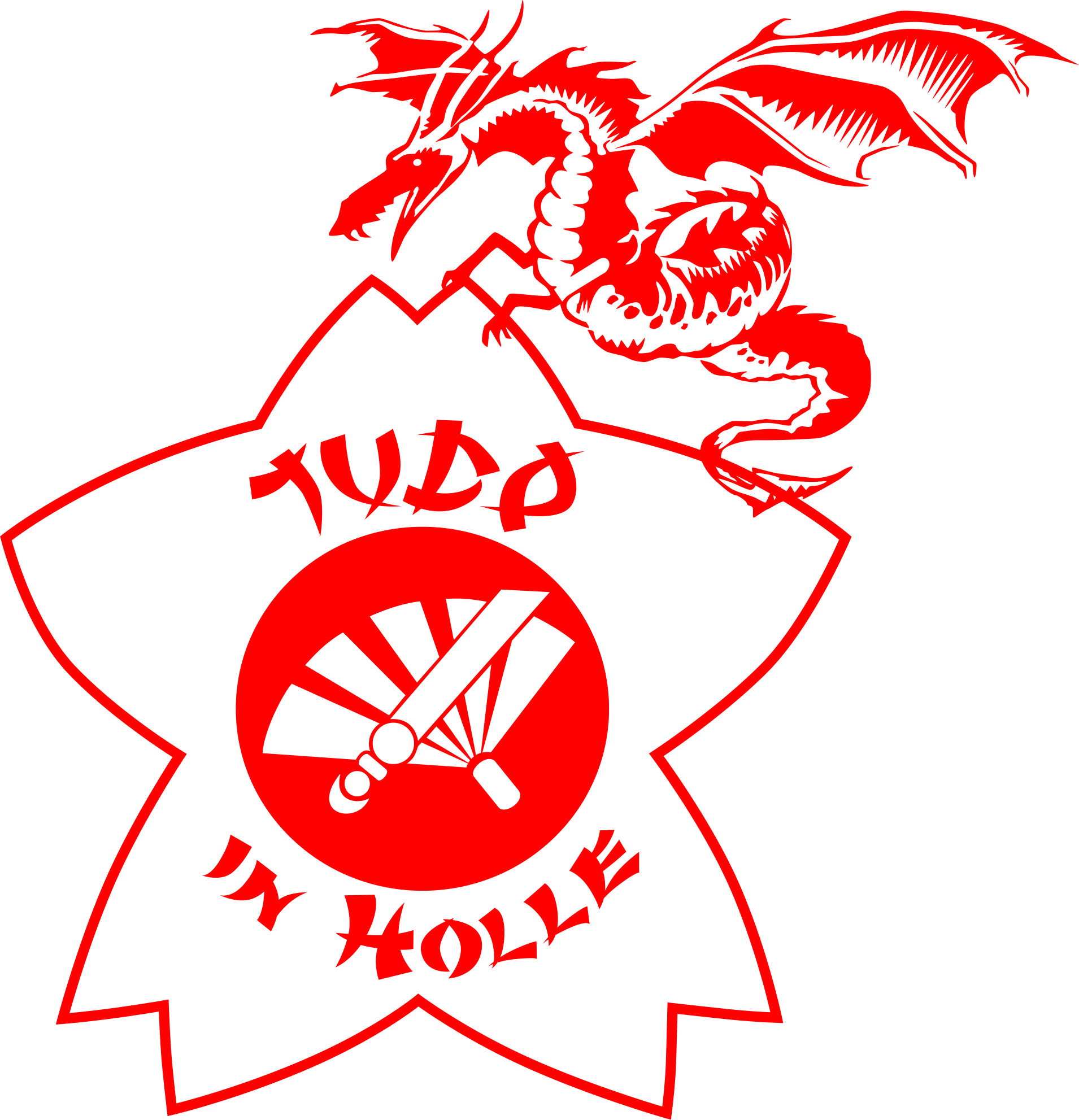 Judo in Holle