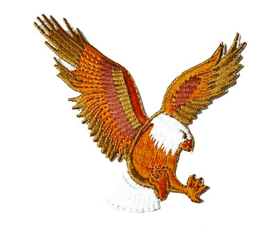 Patch Eagle