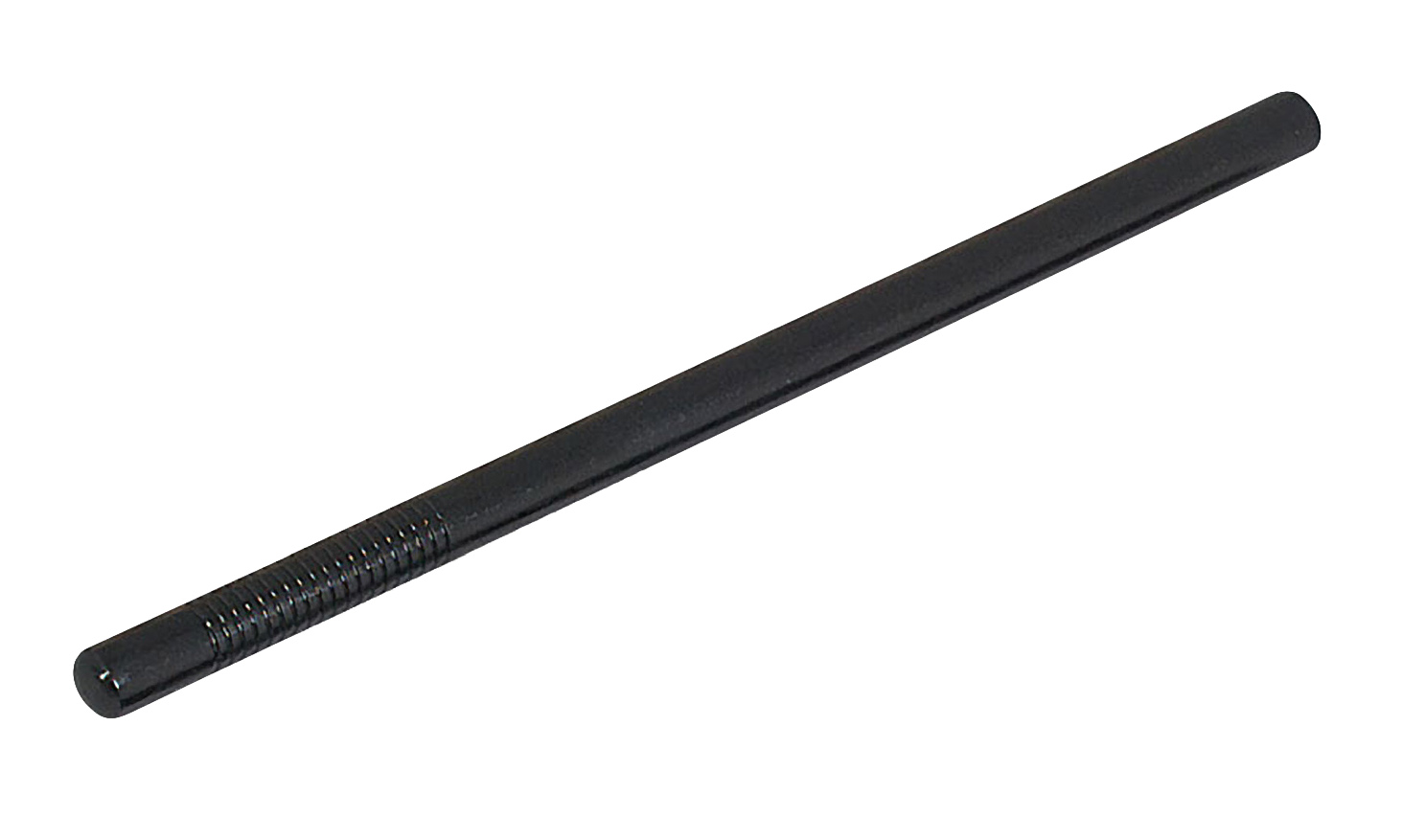 Police Baton